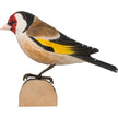 Stillits DecoBird - Håndskåret Træfigur Af Wildlife Garden