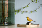 Gulspurv DecoBird - Håndskåret Træfigur Af Wildlife Garden