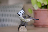 Topmejse DecoBird