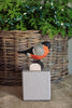 Dompap DecoBird - Håndskåret Træfigur Af Wildlife Garden