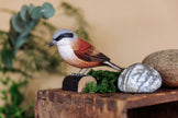 Rødrygget Tornskade DecoBird - Håndskåret Træfigur Af Wildlife Garden🪶