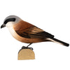 Rødrygget Tornskade DecoBird - Håndskåret Træfigur Af Wildlife Garden🪶
