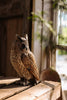 Skovhornugle DecoBird - Håndskåret Træfigur Af Wildlife Garden