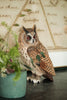 Skovhornugle DecoBird - Håndskåret Træfigur Af Wildlife Garden