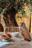 Skovhornugle DecoBird - Håndskåret Træfigur Af Wildlife Garden