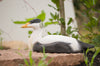 Edderfugl DecoBird - Håndskåret Træfigur Af Wildlife Garden