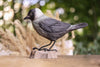 Allike DecoBird - Håndskåret Træfigur Af Wildlife Garden