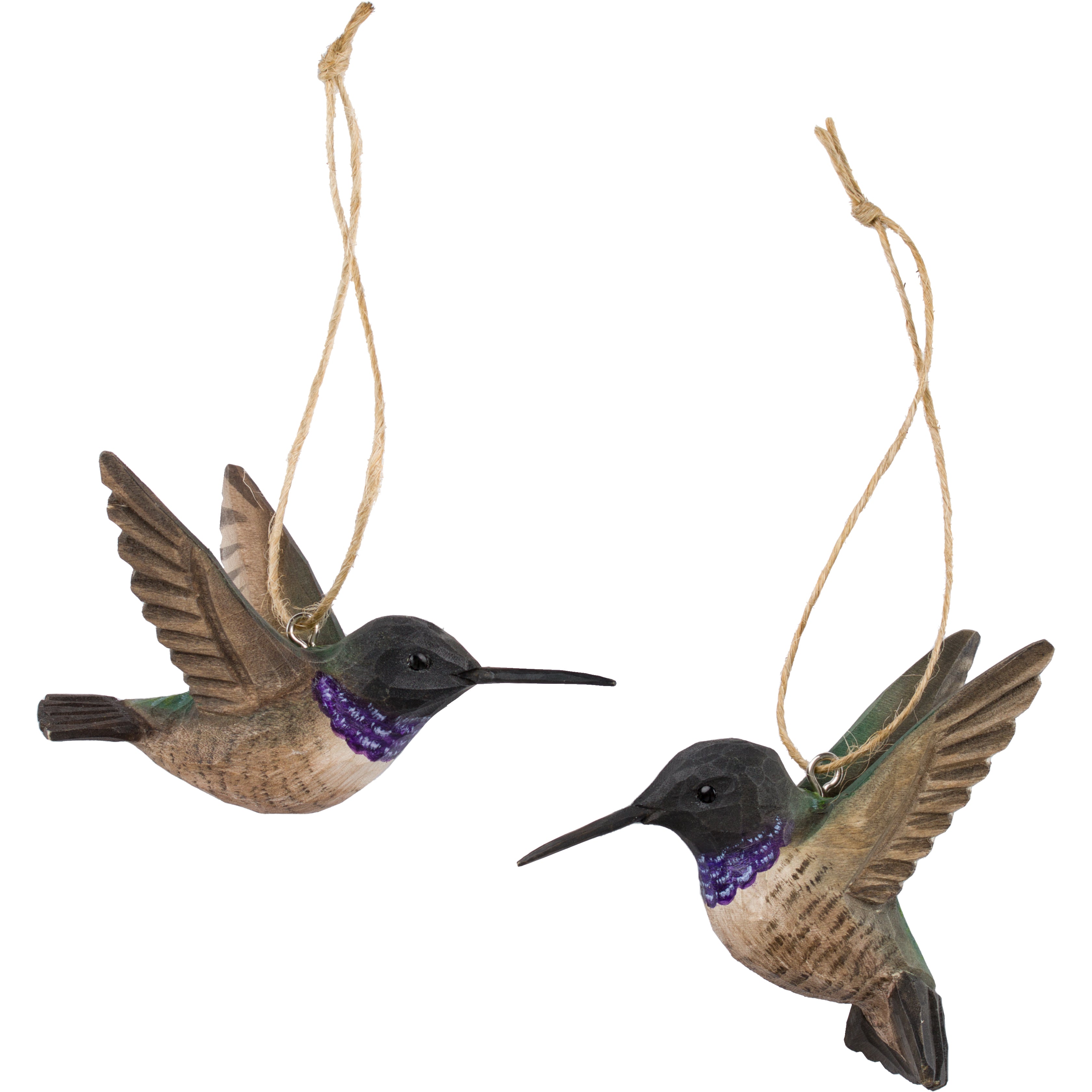 Sorthaget Kolibri (2 stk. i pakke)