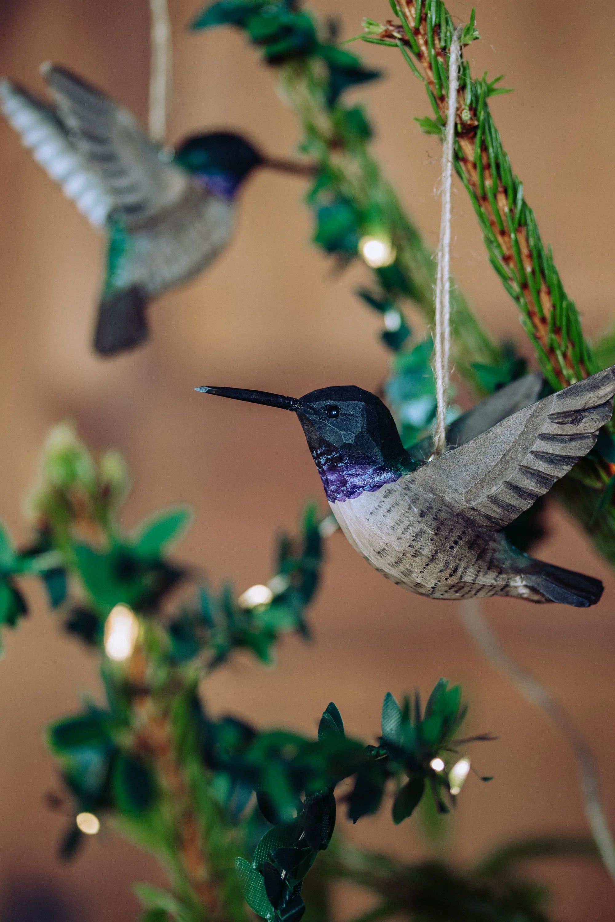 Sorthaget Kolibri (2 stk. i pakke)