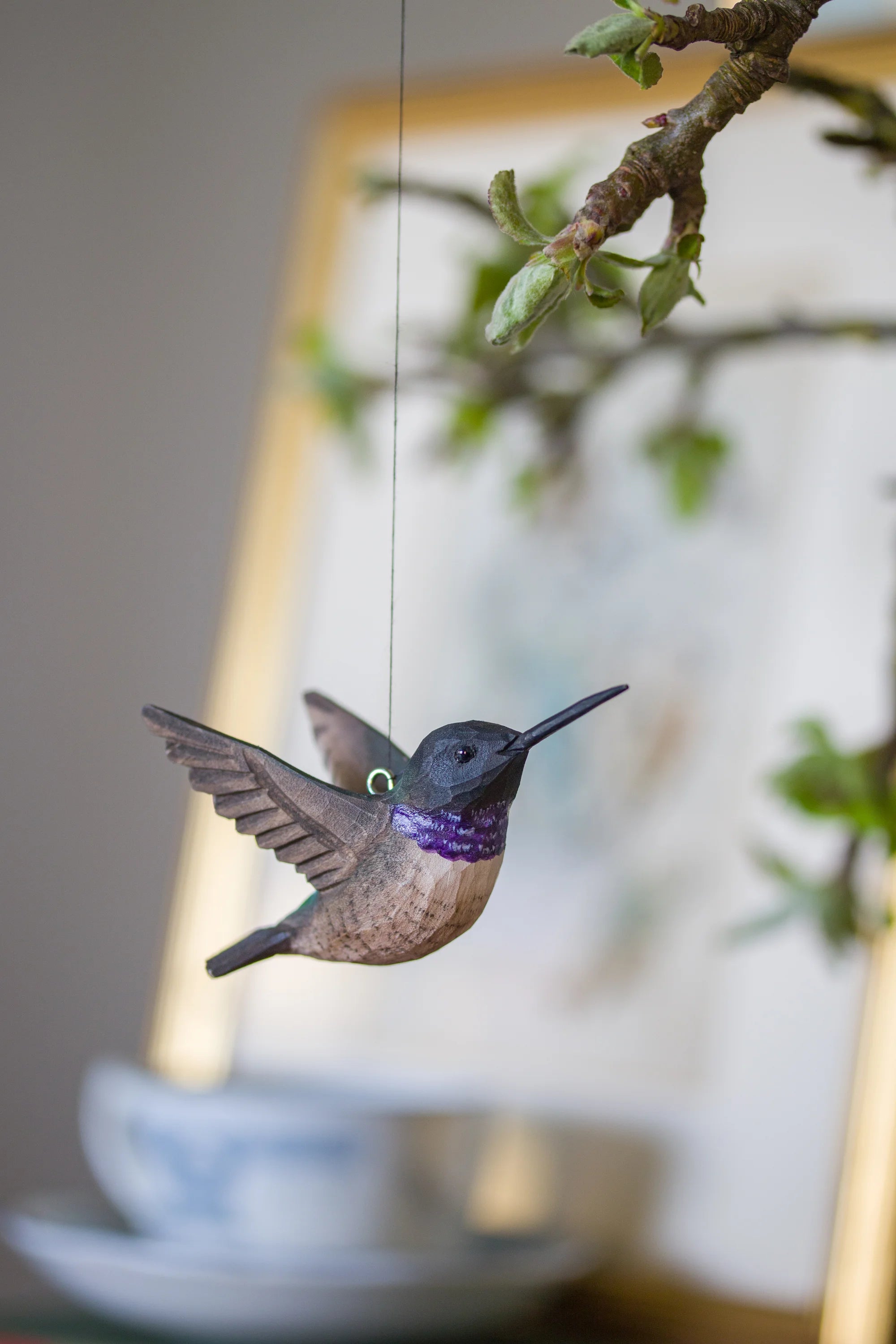 Sorthaget Kolibri (2 stk. i pakke)