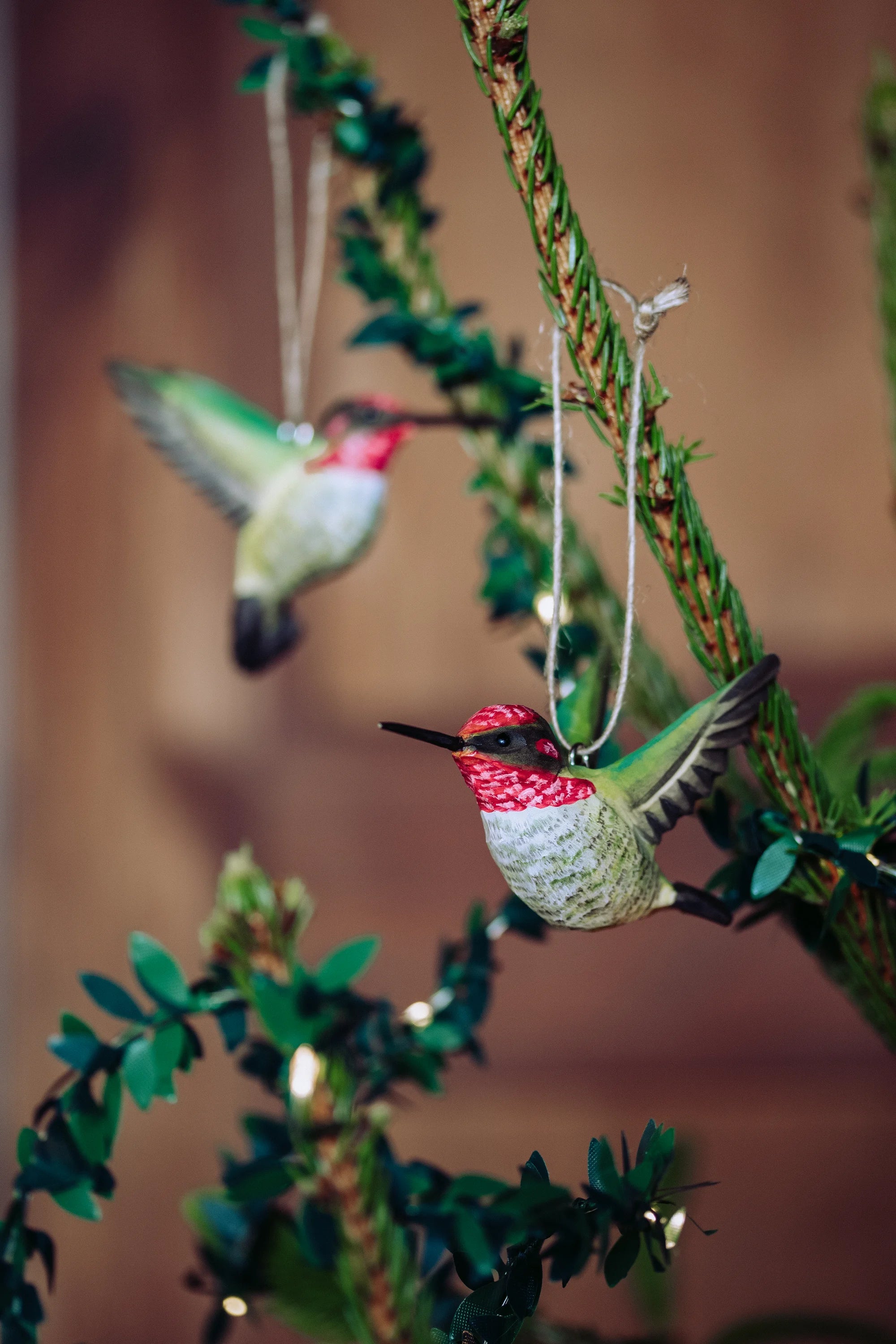 Anna's Kolibri (2 stk. i pakke)