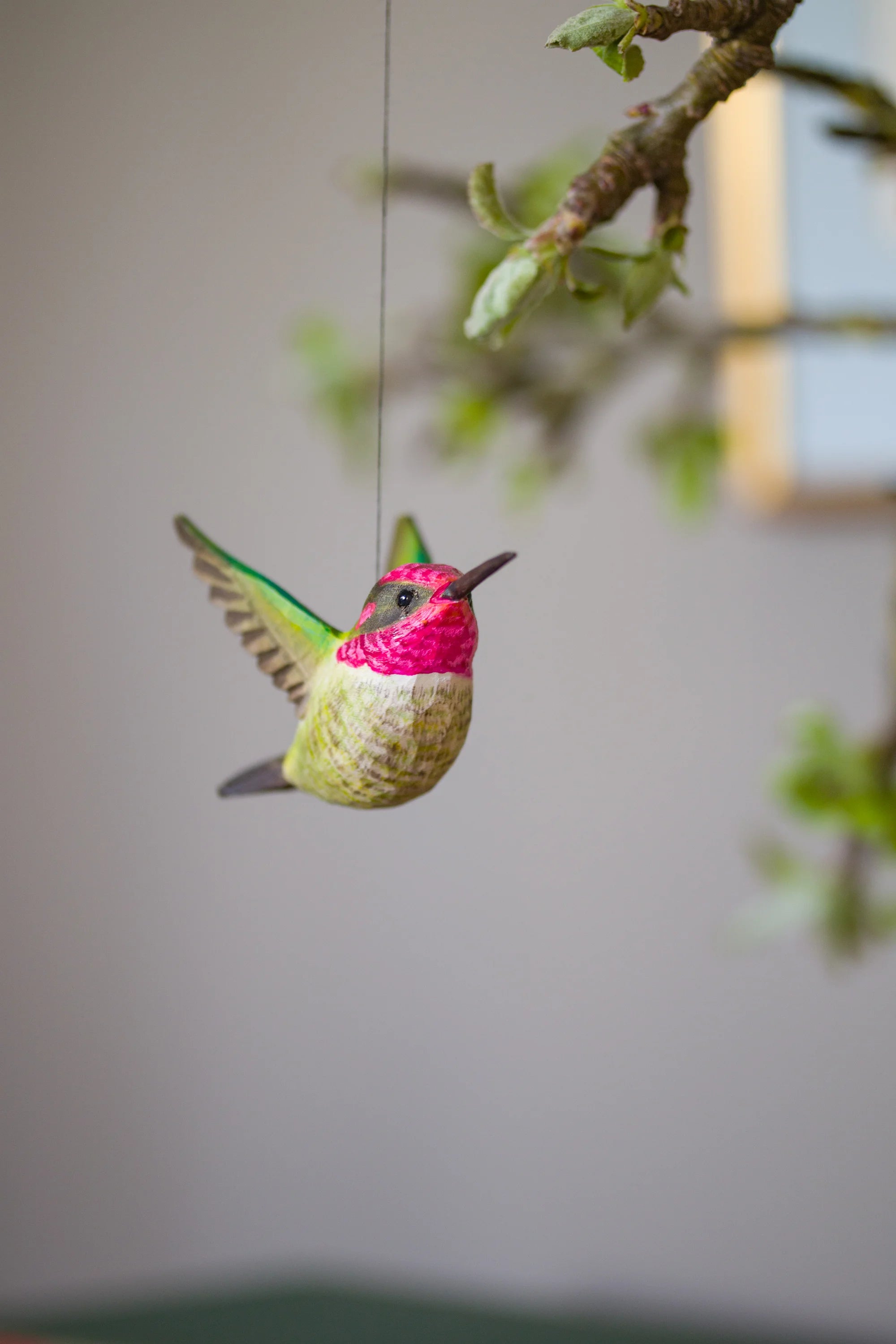Anna's Kolibri (2 stk. i pakke)