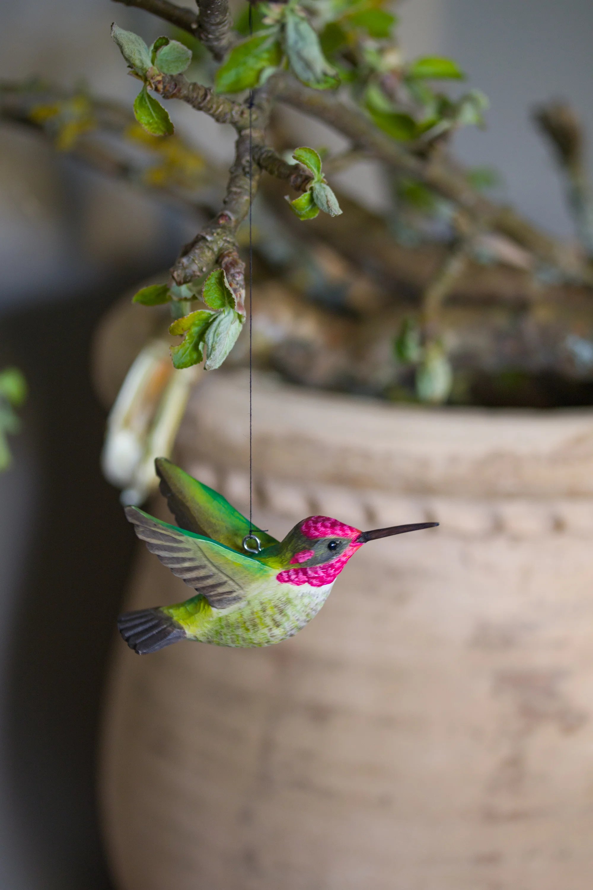 Anna's Kolibri (2 stk. i pakke)