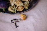 Nøglering - physalis