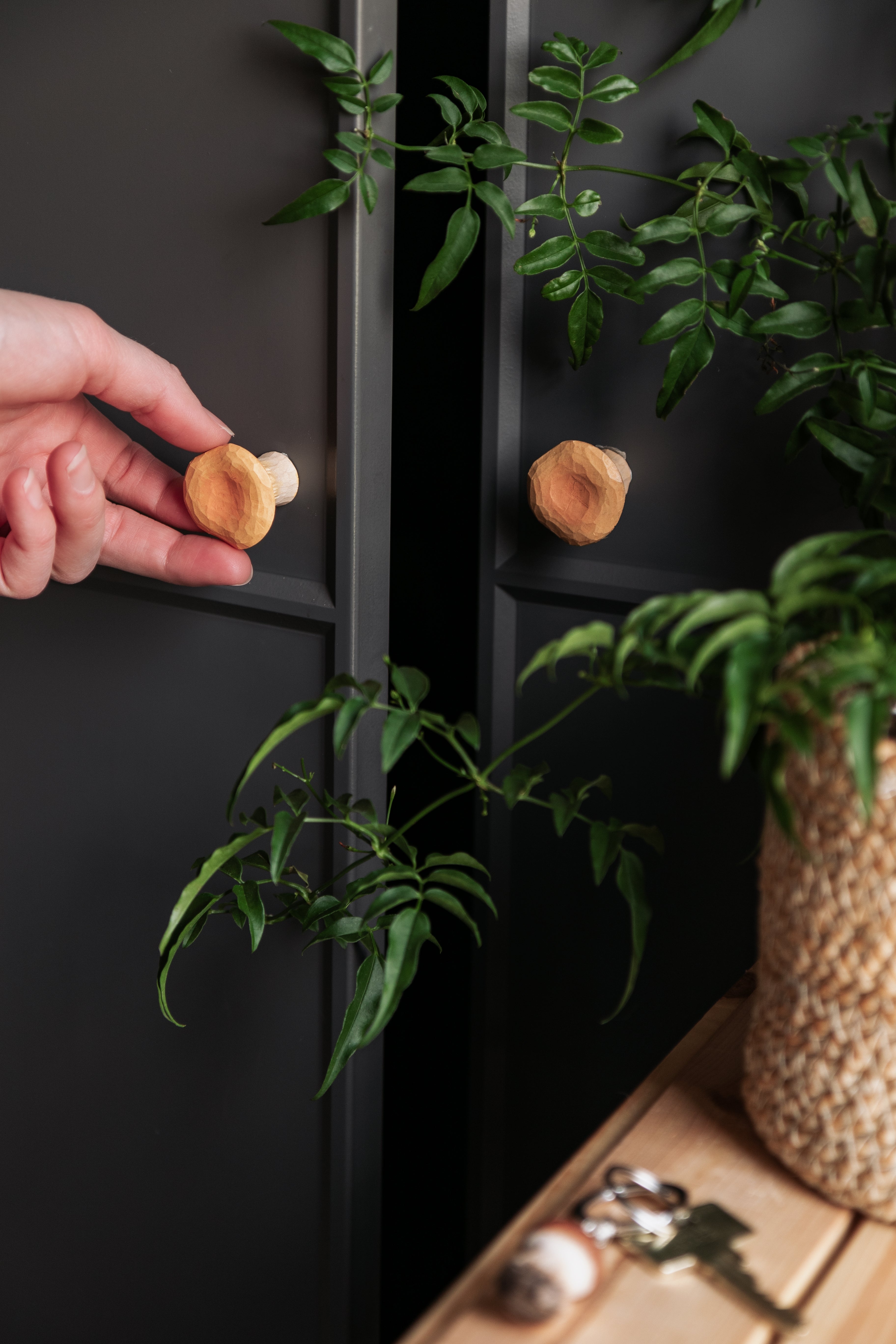 Knop - Chanterelle