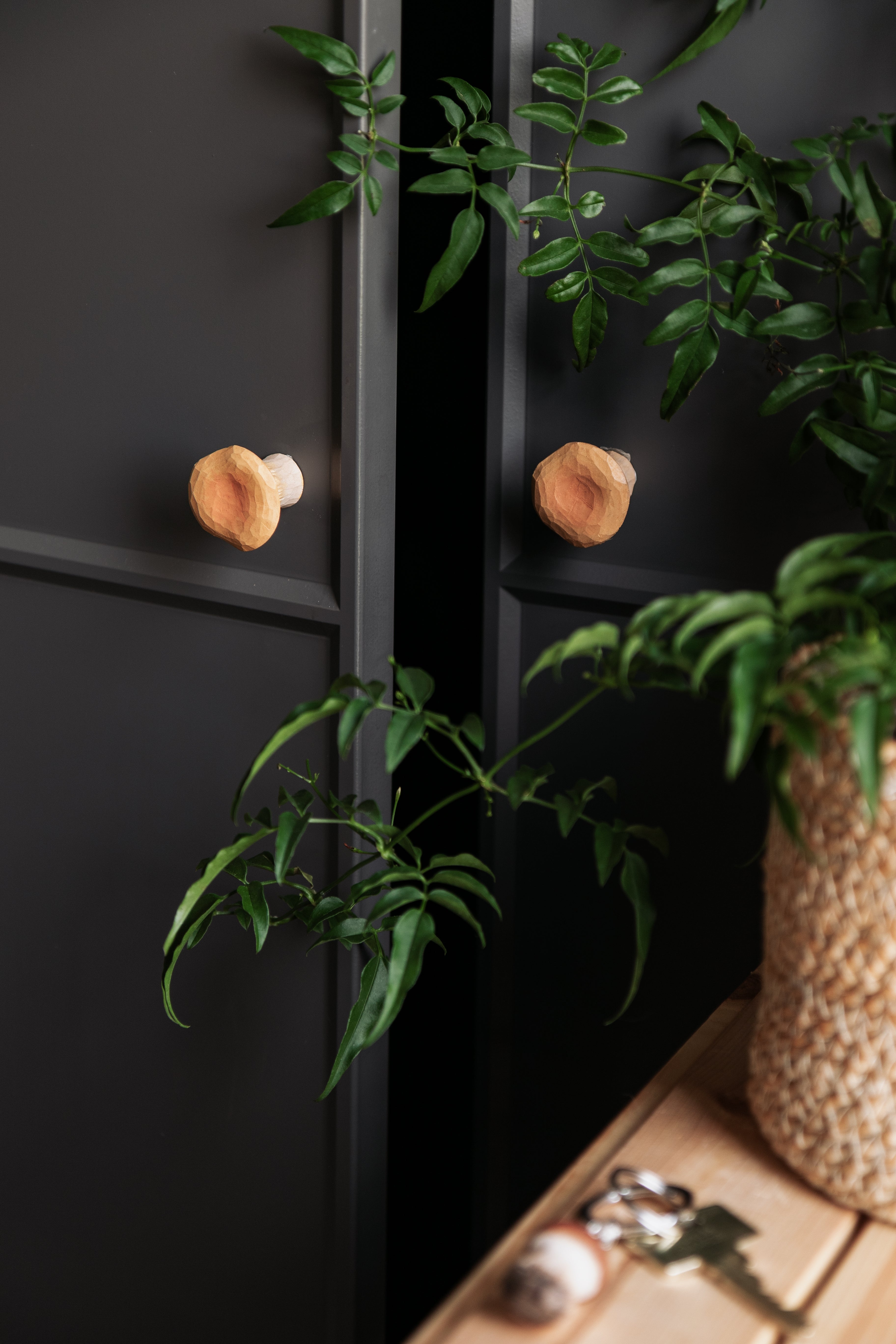 Knop - Chanterelle