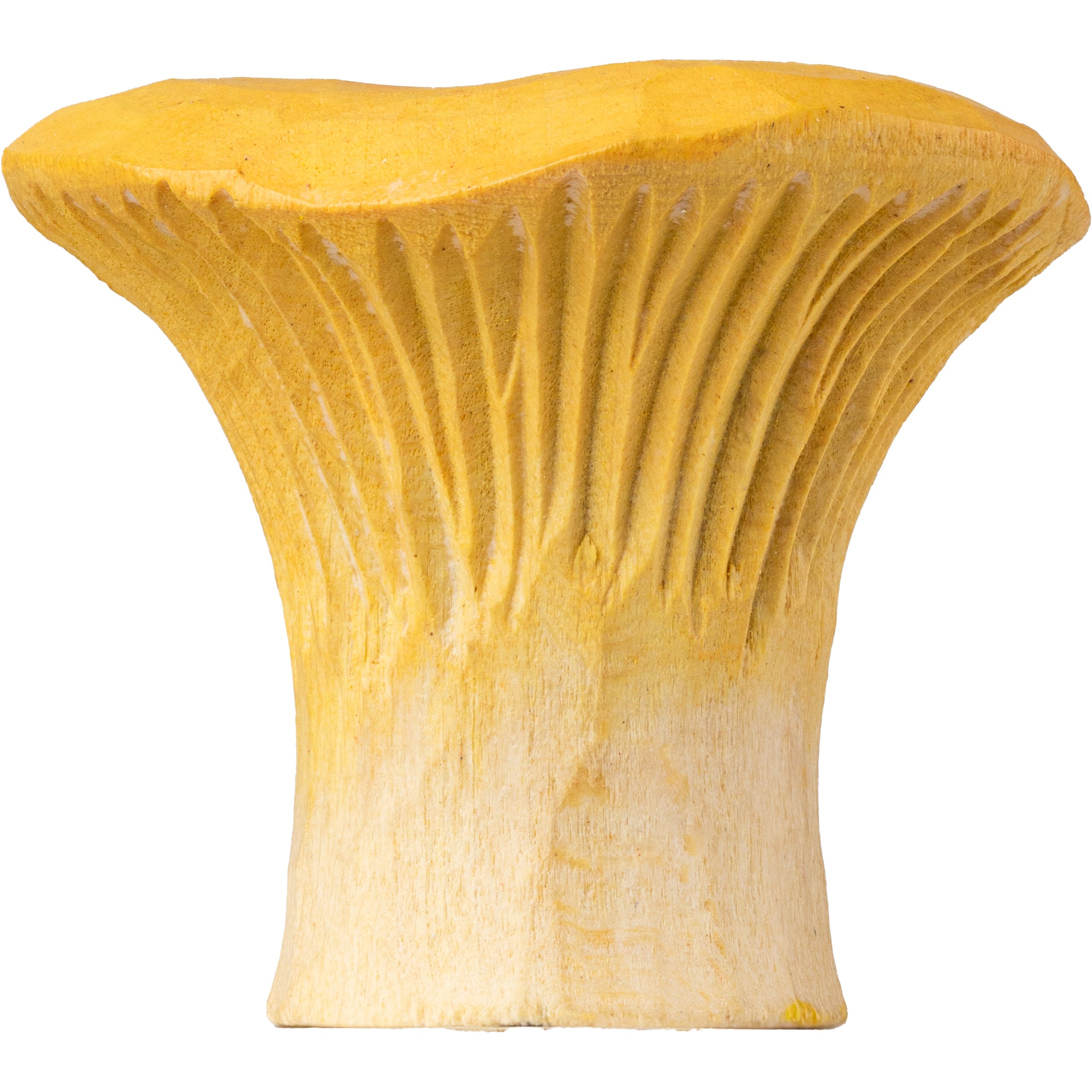 Knop - Chanterelle