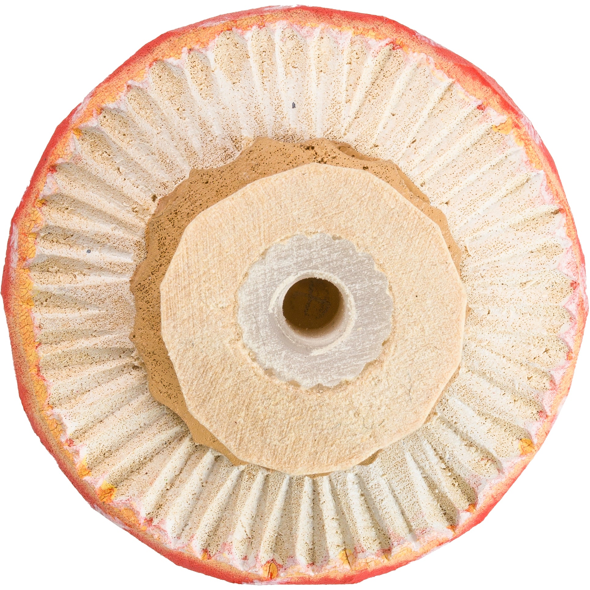 Knop - Fly Agaric