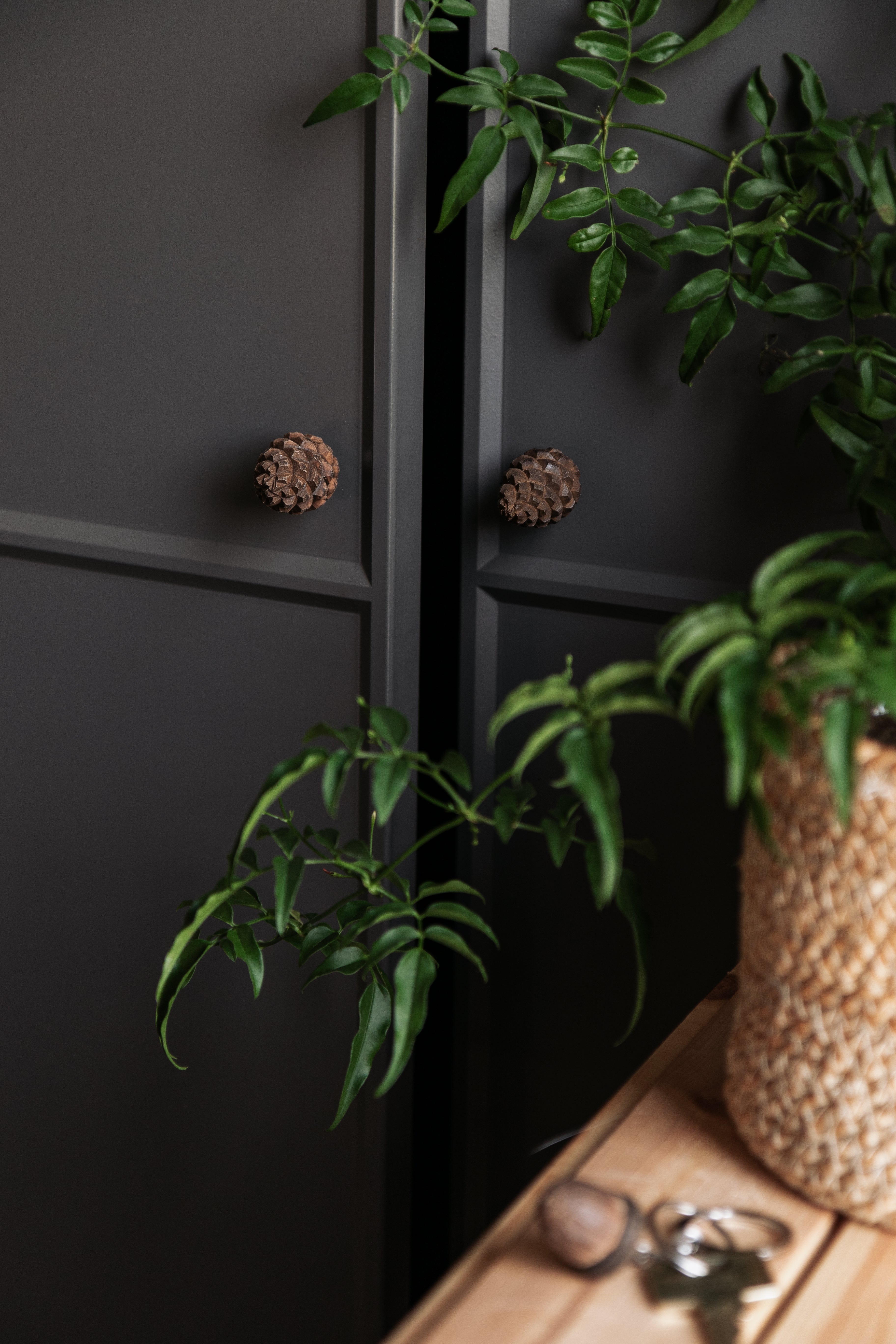 Knop - Pine Cone