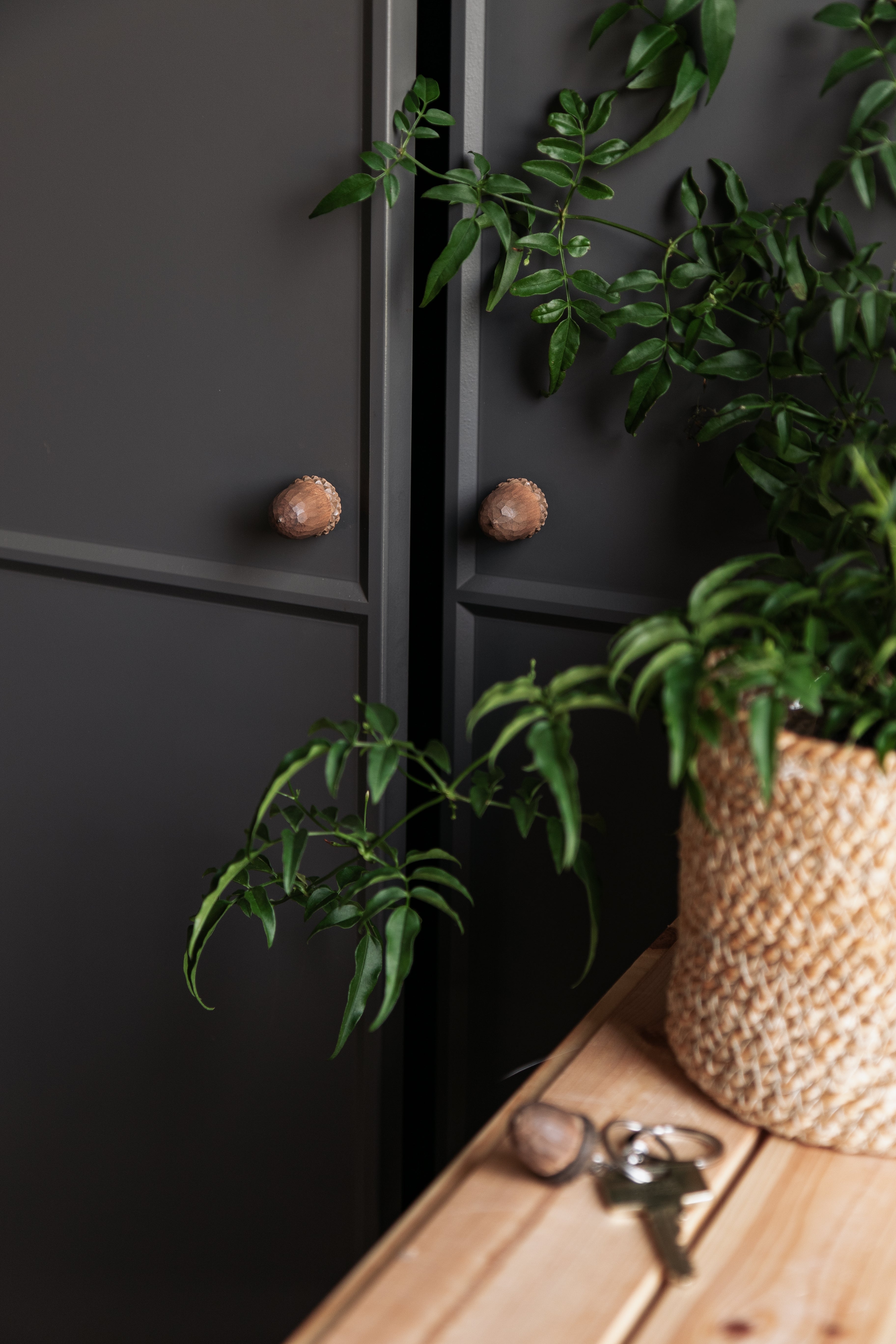 Knop - Acorn