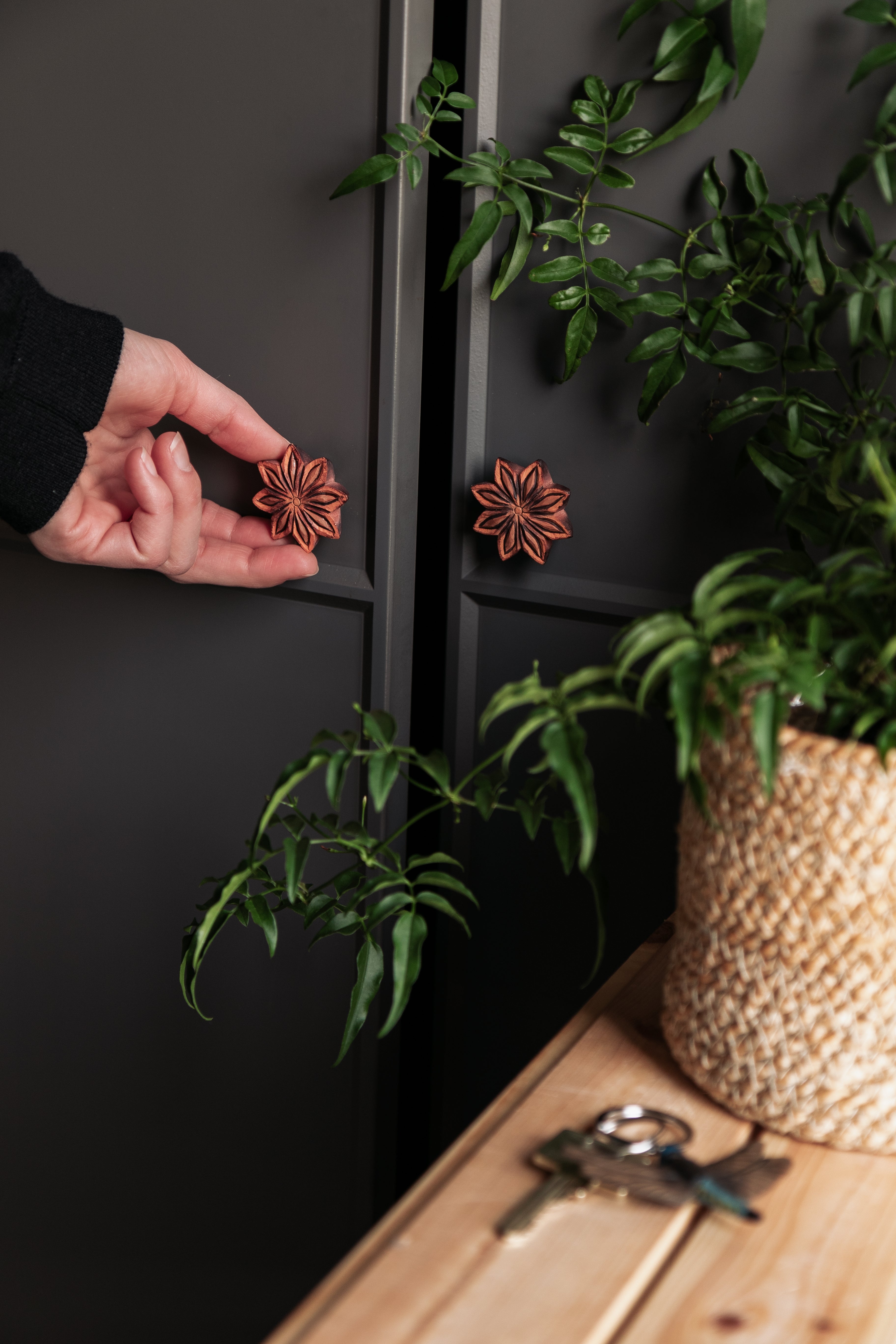 Knop - Star Anise