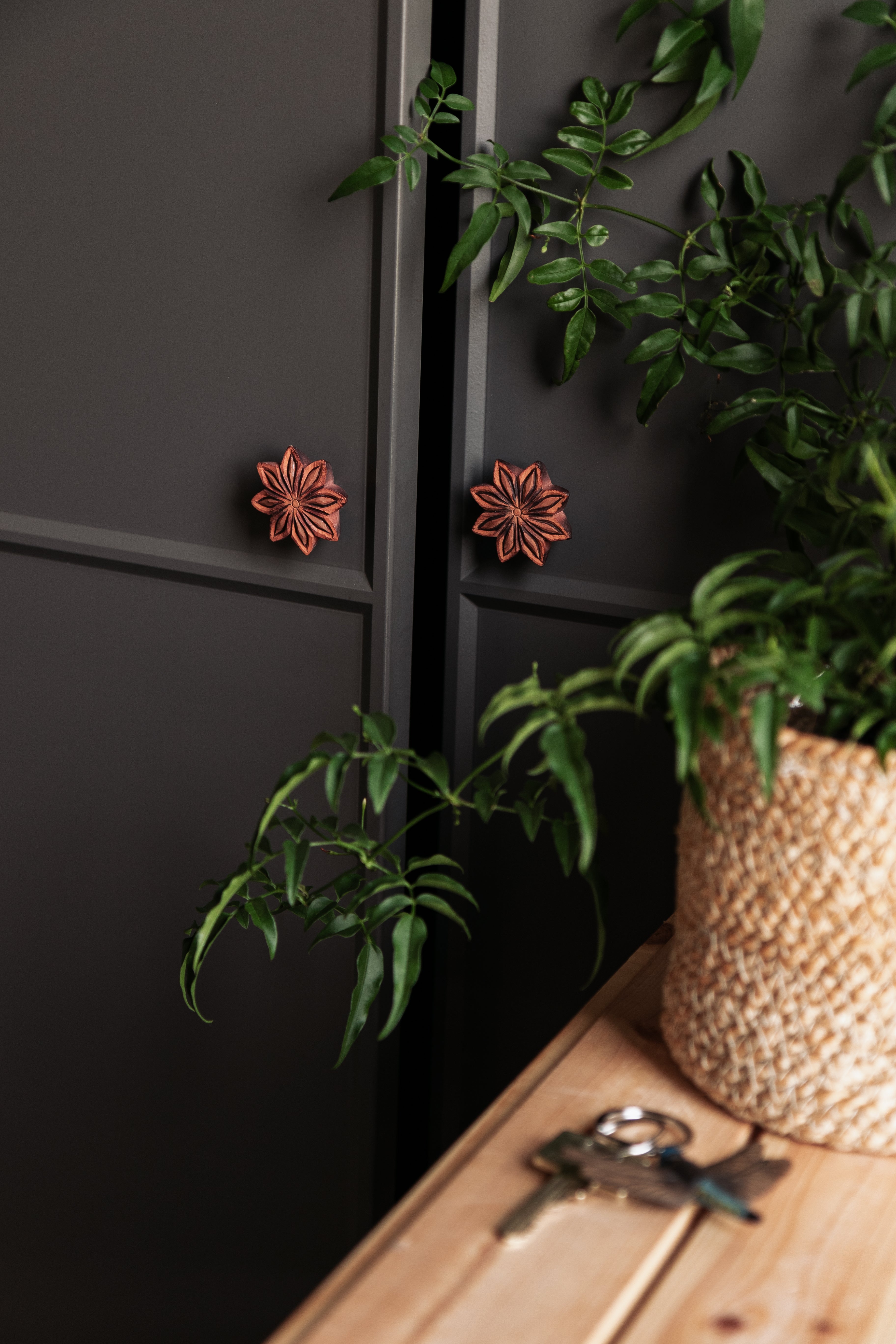 Knop - Star Anise