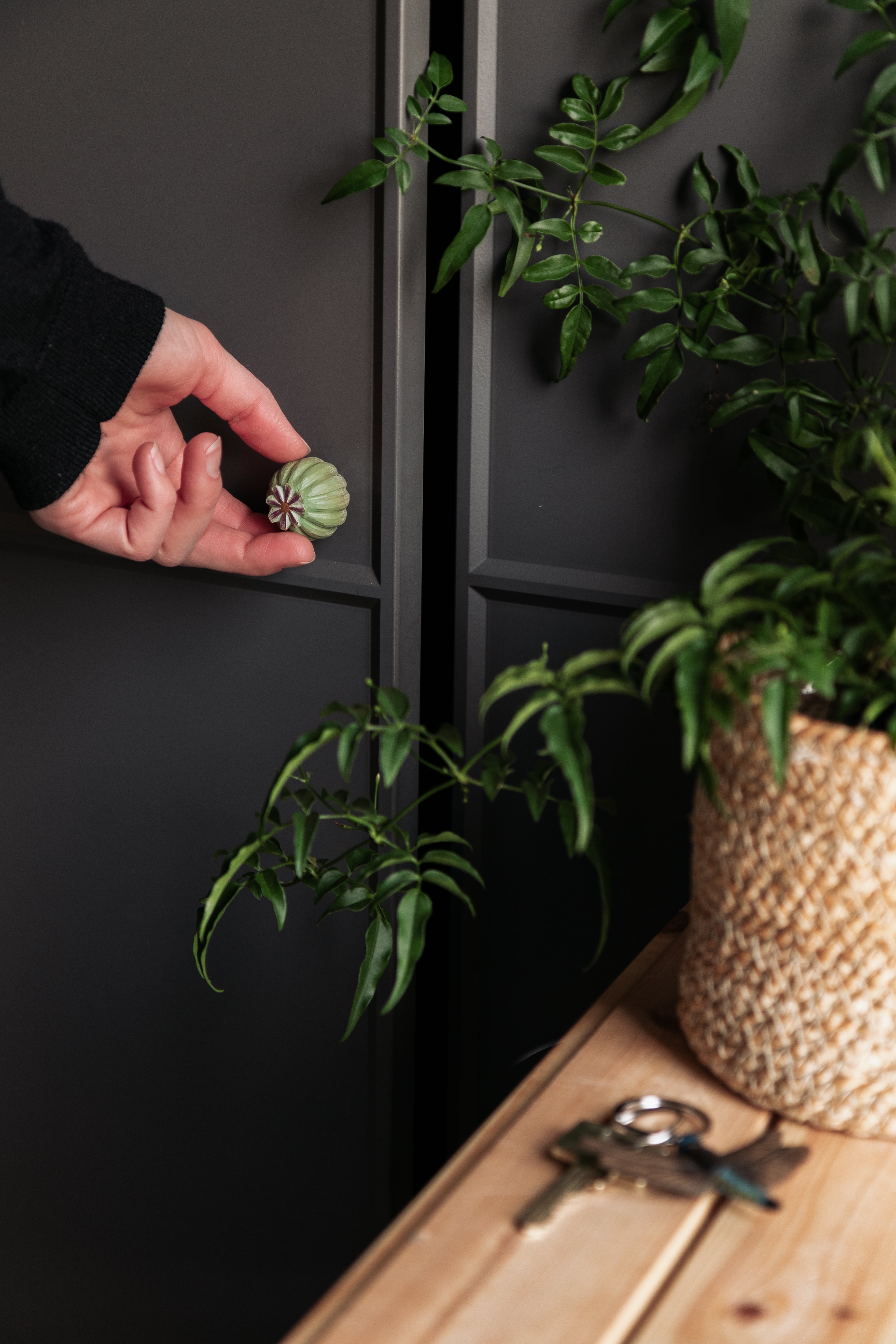 Knop - Poppy Pod