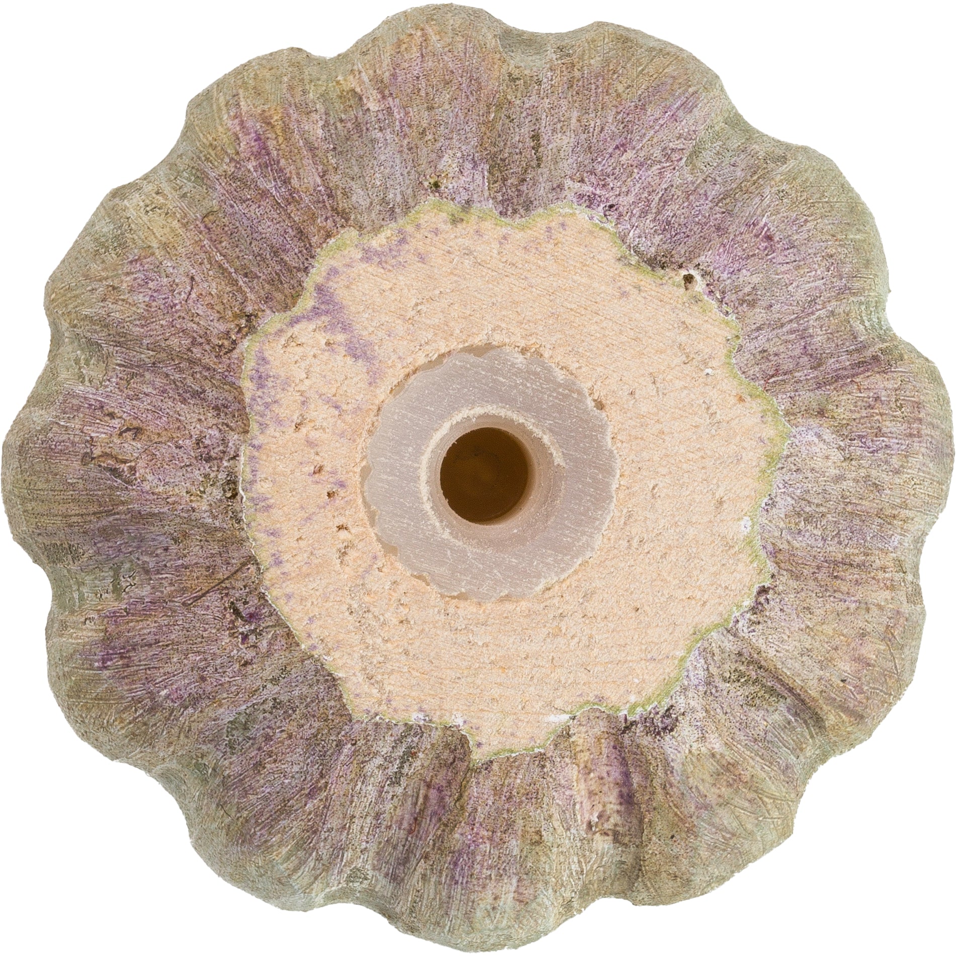 Knop - Poppy Pod