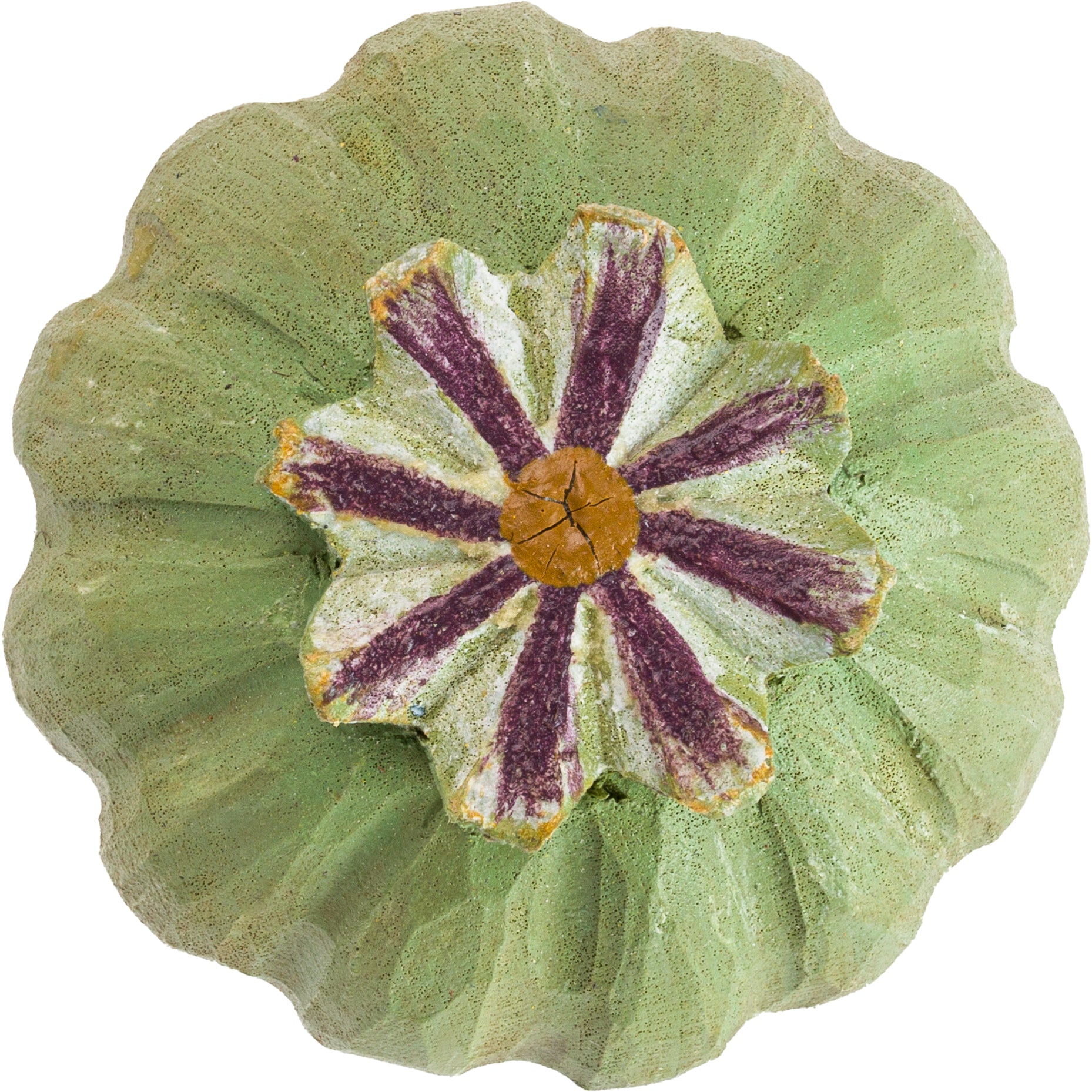 Knop - Poppy Pod