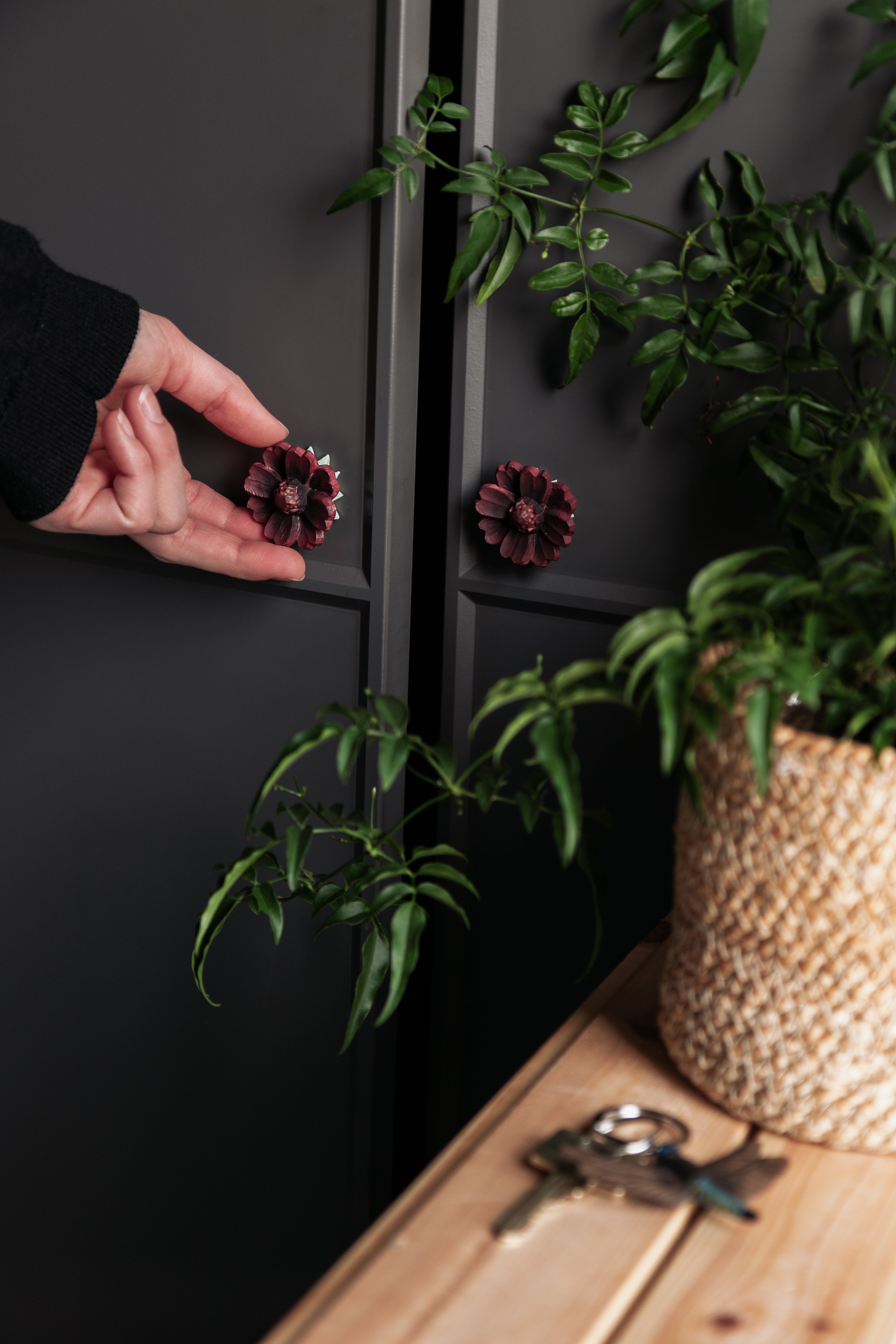 Knop - Chocolate Cosmos