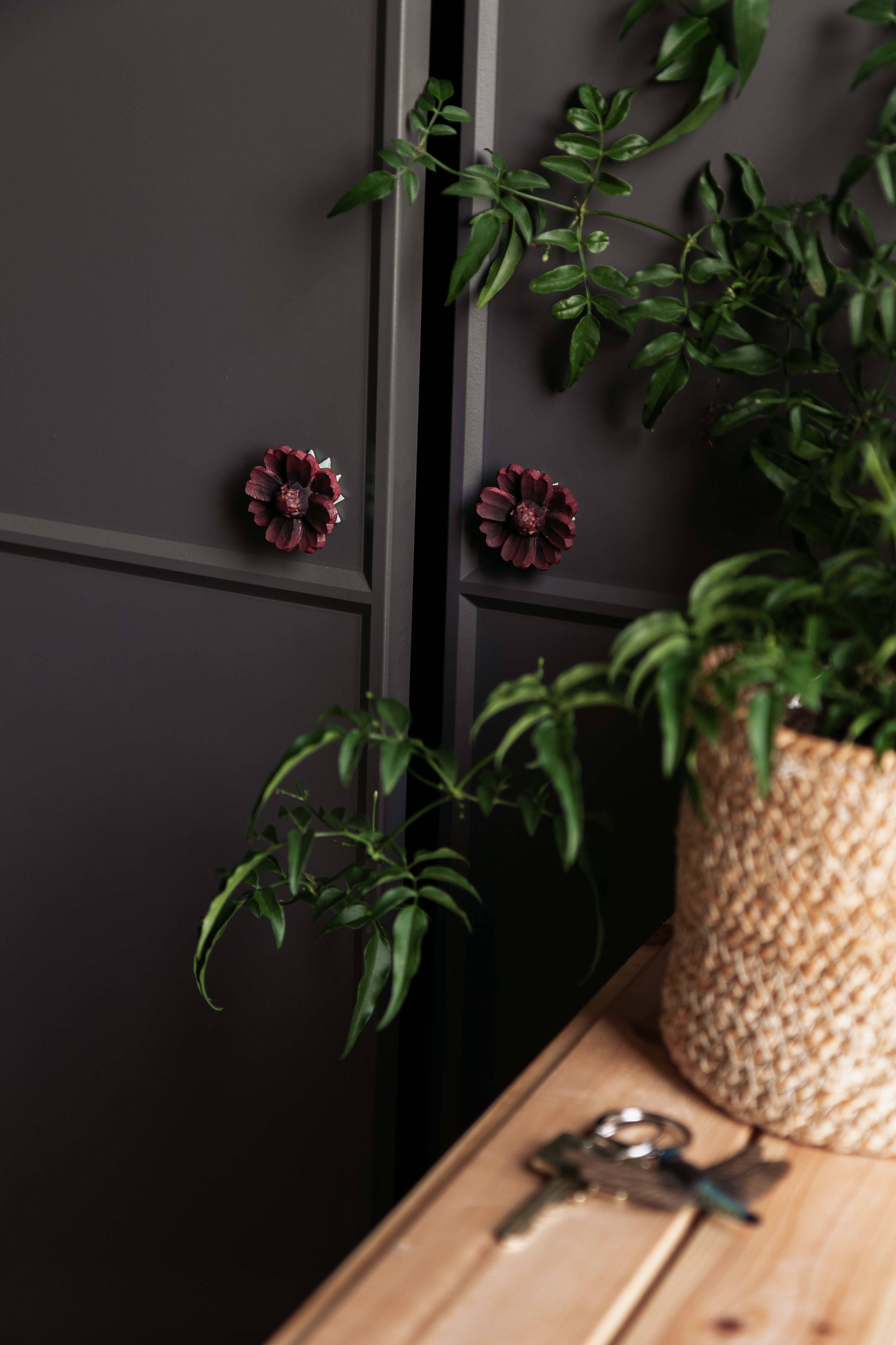 Knop - Chocolate Cosmos