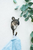 Koala knage | Håndskåret Knage fra Wildlife Garden