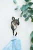 Koala knage | Håndskåret Knage fra Wildlife Garden