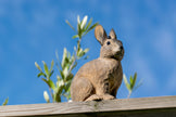 Kanin - Håndskåret Træfigur Af Wildlife Garden
