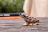 Spidssnudet Frø - Håndskåret Træfigur Af Wildlife Garden