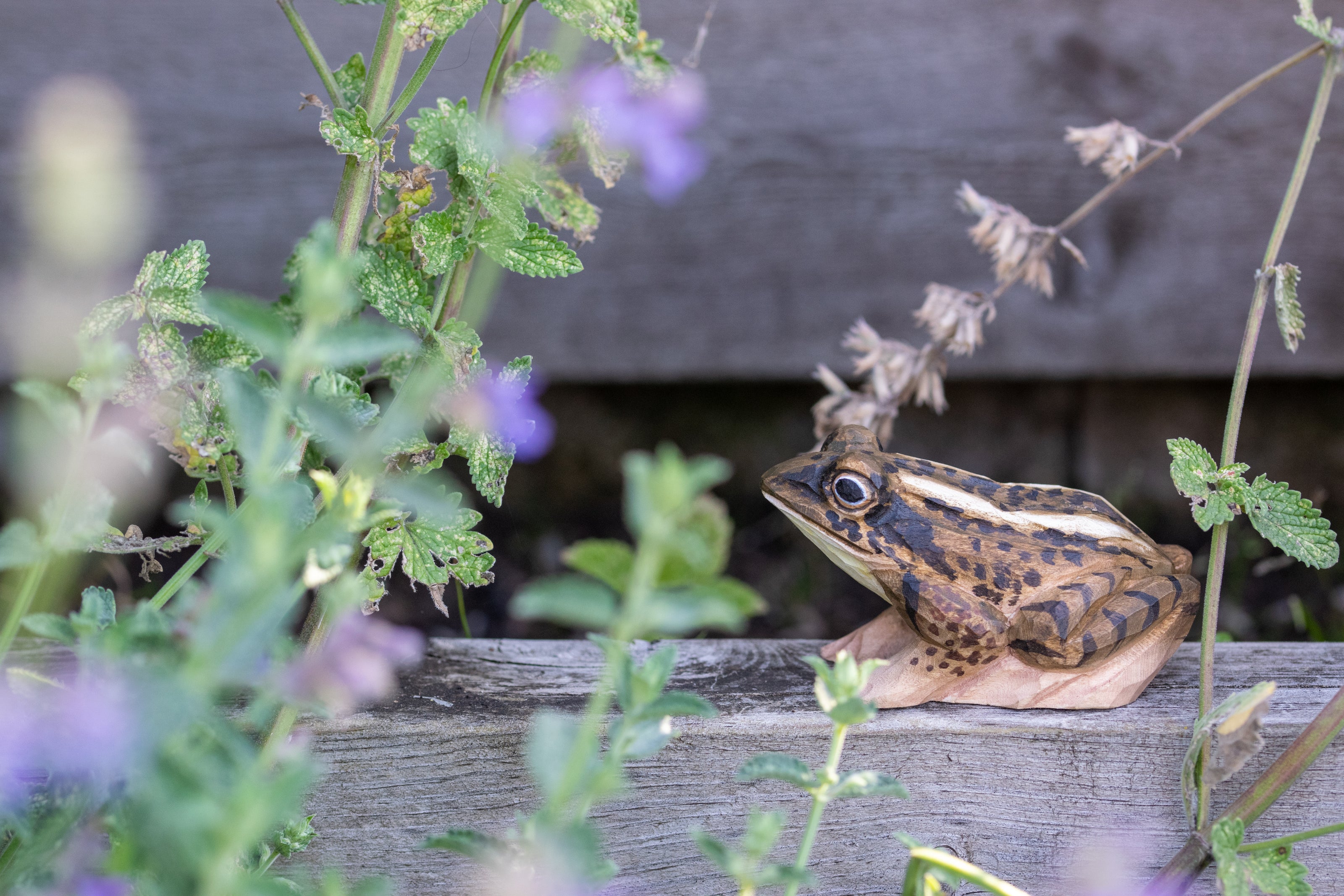 Spidssnudet Frø - Håndskåret Træfigur Af Wildlife Garden
