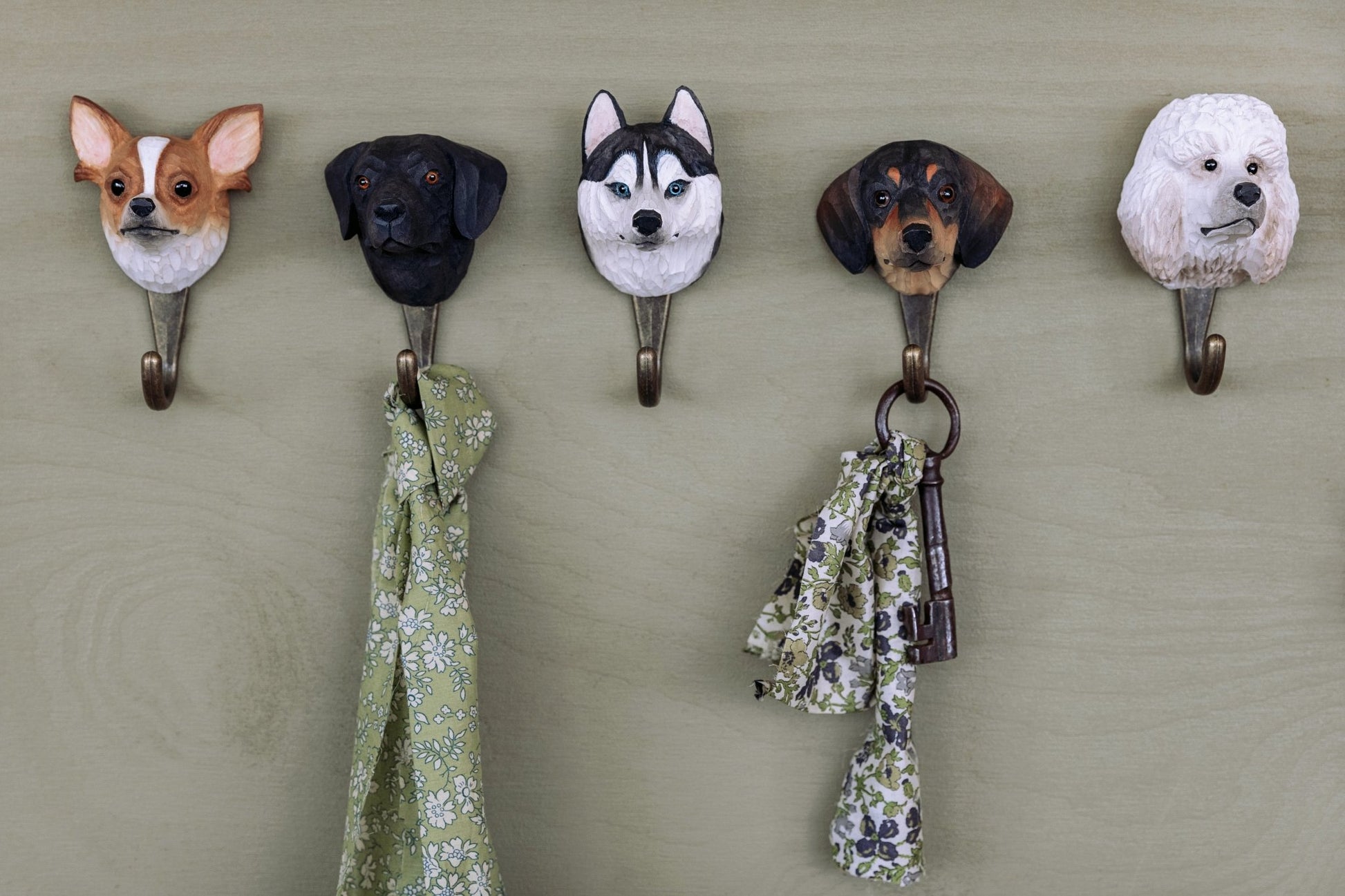 Australsk Hyrdehund knage - NaturHandel.dk