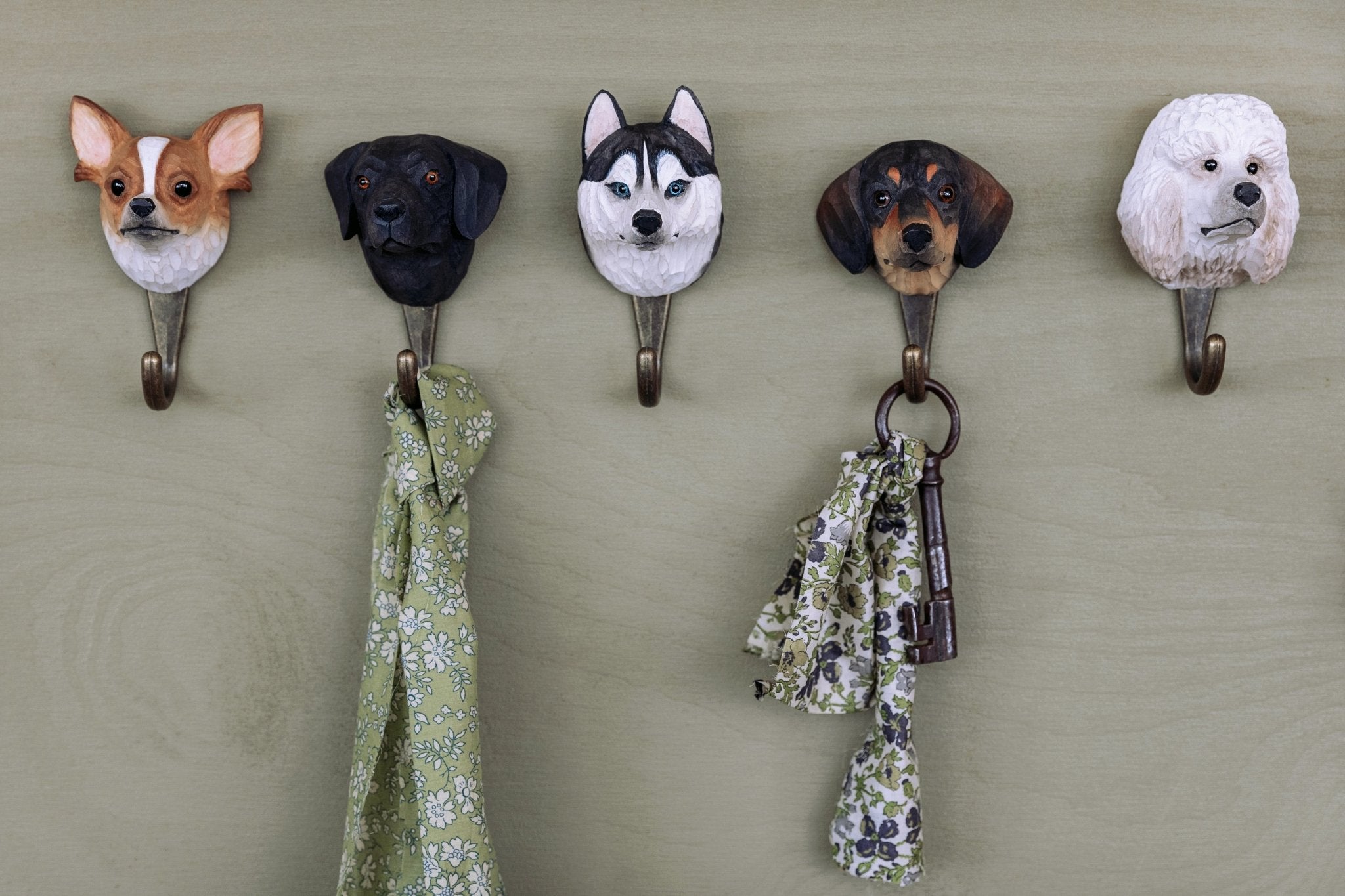 Australsk Hyrdehund knage - NaturHandel.dk