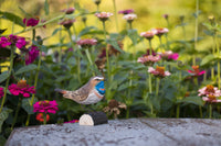 Blåhals DecoBird - NaturHandel.dk