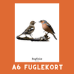 BOGFINKE A6 FUGLEKORT - PR. STK. - NaturHandel.dk