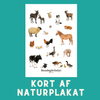 BONDEGÅRDSDYR A6 KORT - NaturHandel.dk