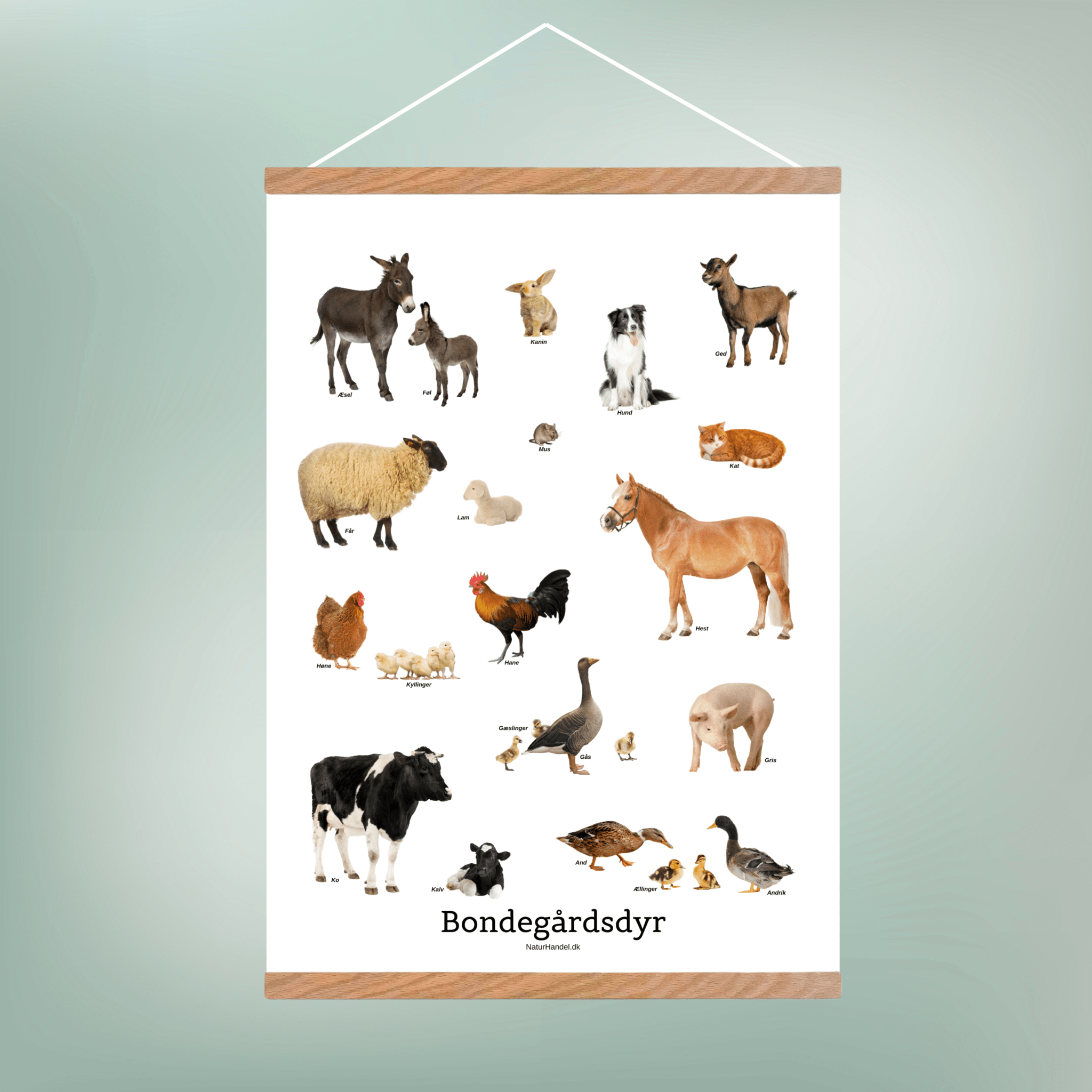 Bondegårdsdyr Plakat - NaturHandel.dk
