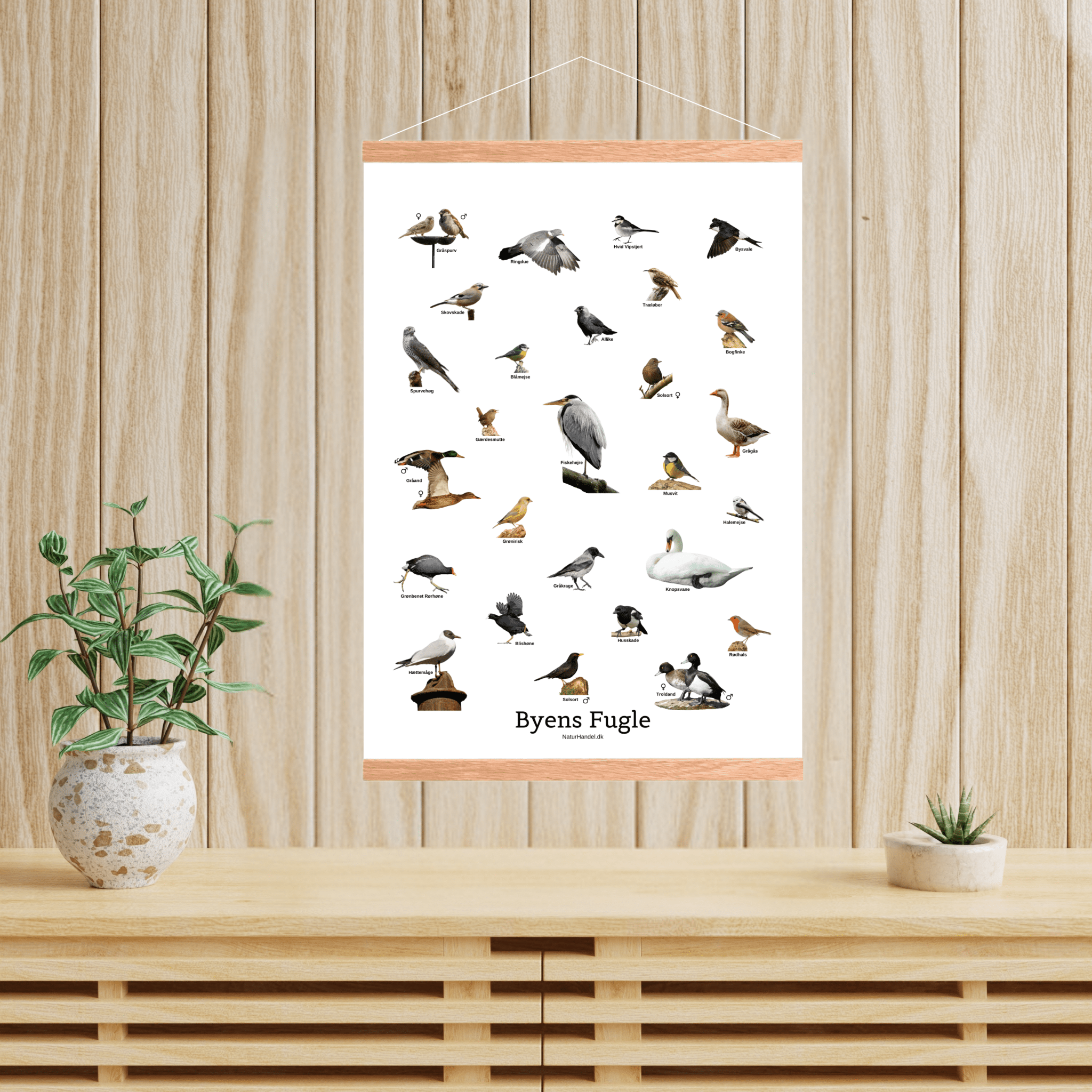 Byens Fugle Plakat - NaturHandel.dk