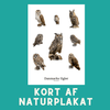 DANMARKS UGLER A6 KORT - NaturHandel.dk