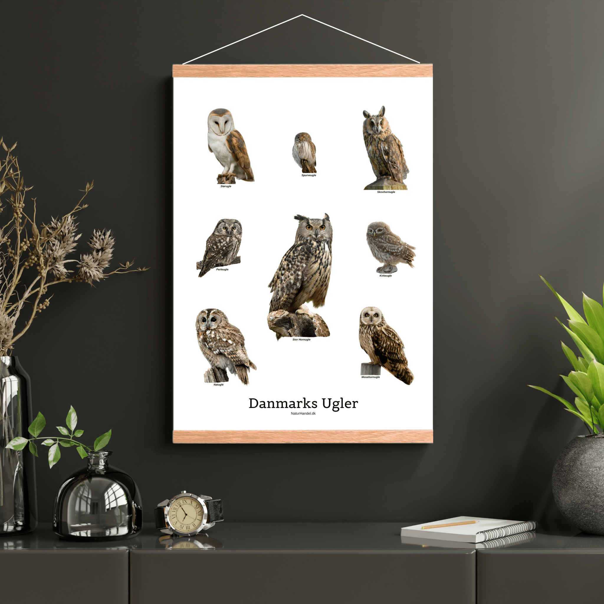 Danmarks Ugler Plakat - NaturHandel.dk