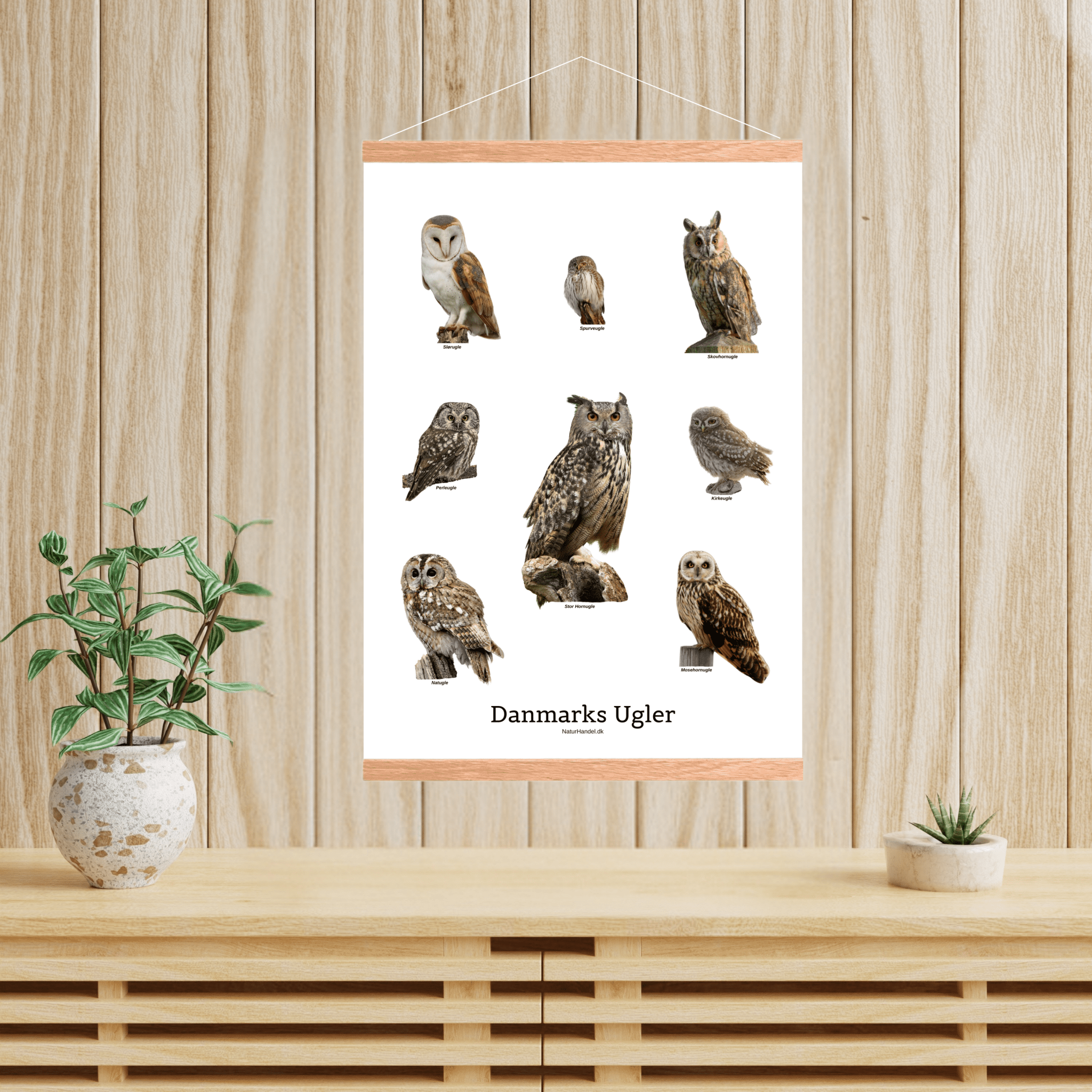 Danmarks Ugler Plakat - NaturHandel.dk