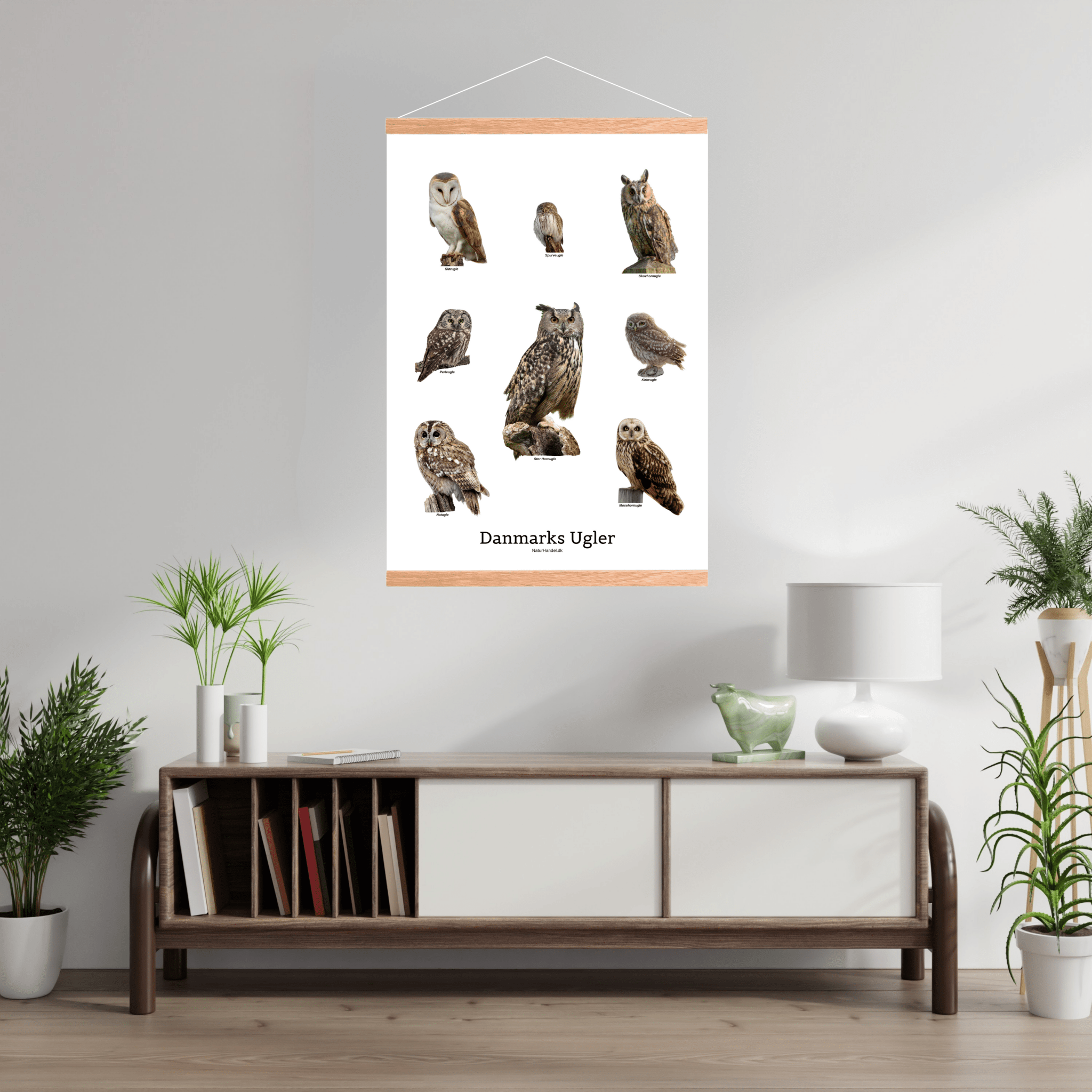 Danmarks Ugler Plakat - NaturHandel.dk