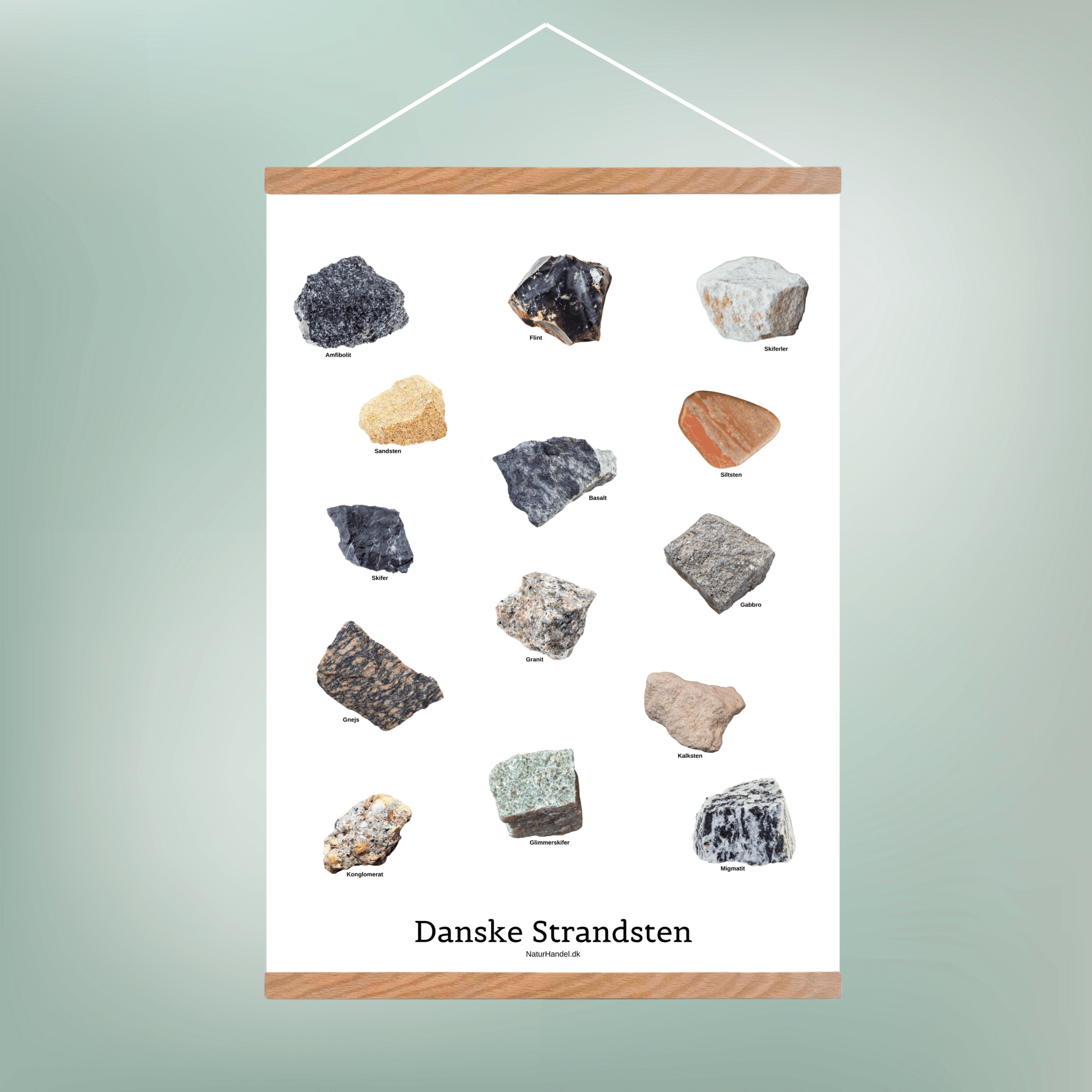 Danske Strandsten Plakat - NaturHandel.dk