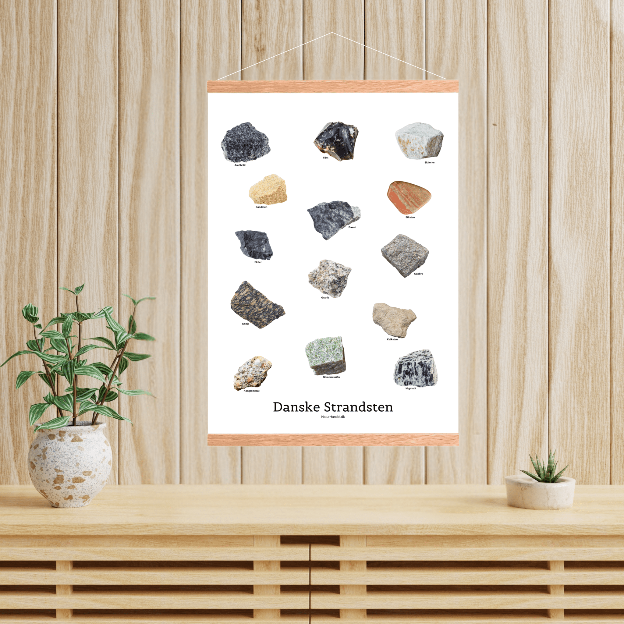 Danske Strandsten Plakat - NaturHandel.dk