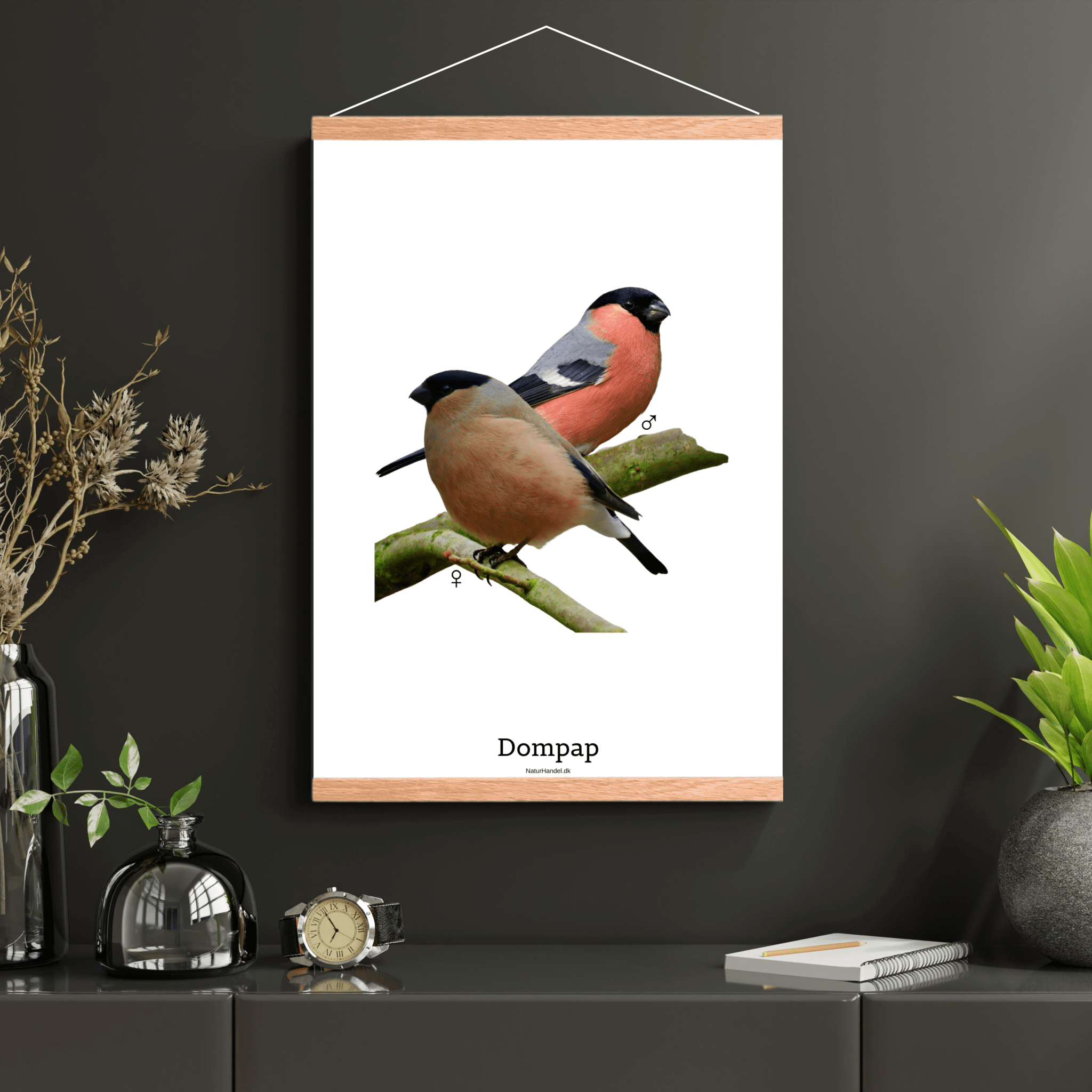 Dompap - NaturHandel.dk